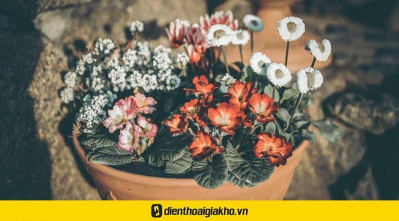 Mách cho bạn các công thức chỉnh ảnh vintage trên iphone và android