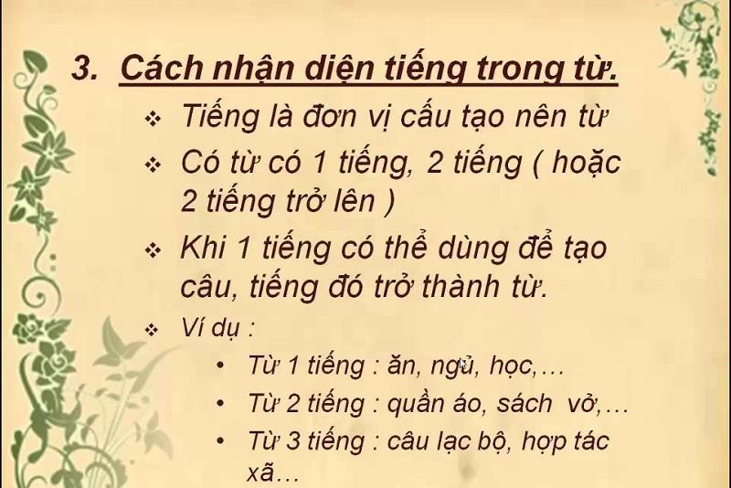 Sự khác biệt giữa từ và tiếng trong tiếng Việt. (Ảnh: Sưu tầm internet)
