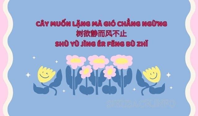 cay-muon-lang-ma-gio-chang-ngung.jpg