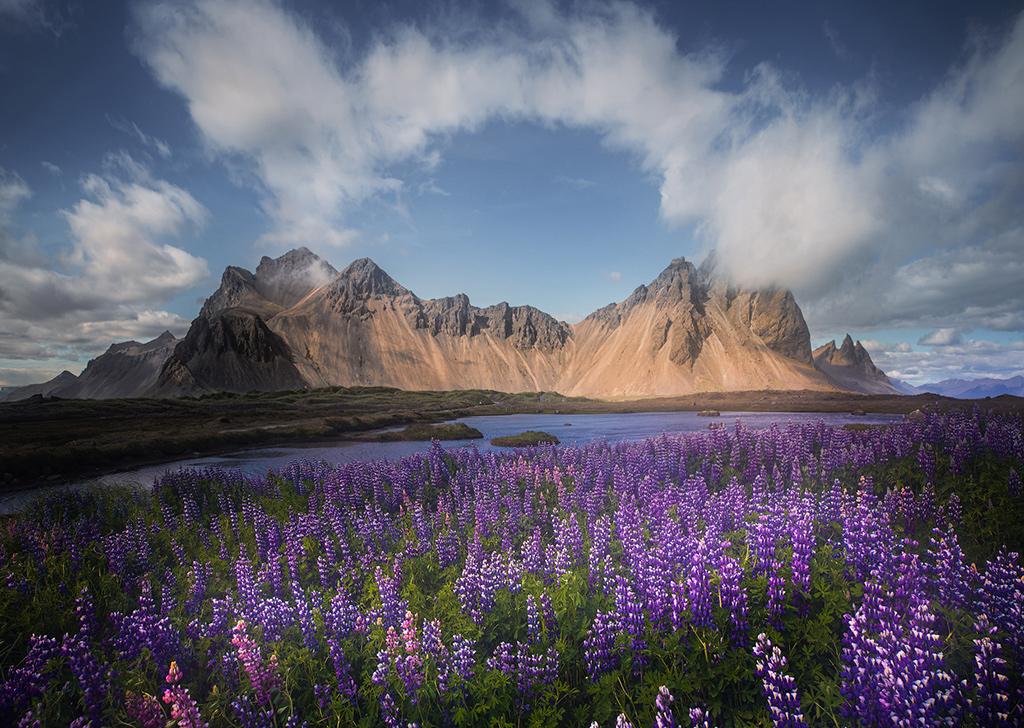 Tìm những nội dung bạn muốn