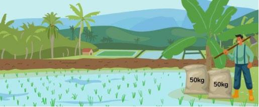 Đề thi giữa học kì 2 lớp 2 môn Toán Cánh Diều