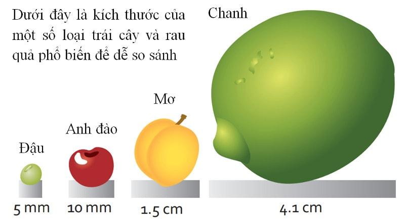 HỘI HÔ HẤP TP. HỒ CHÍ MINH