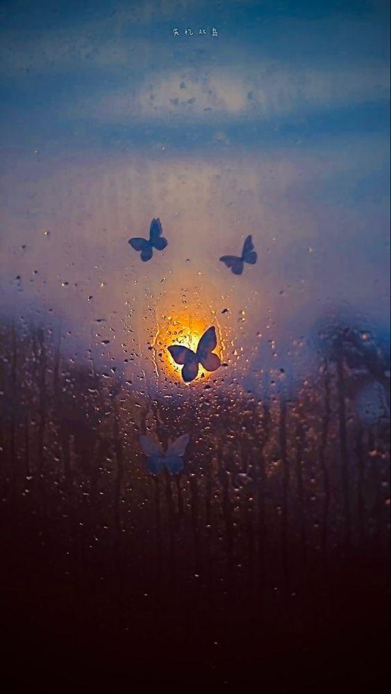 Tứ Trùng Miên | Chương 176: Lớn từng này rồi mà còn làm nũng như vậy