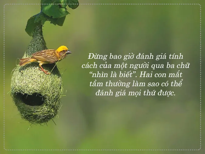 status-long-nguoi-gia-tao-voh-0