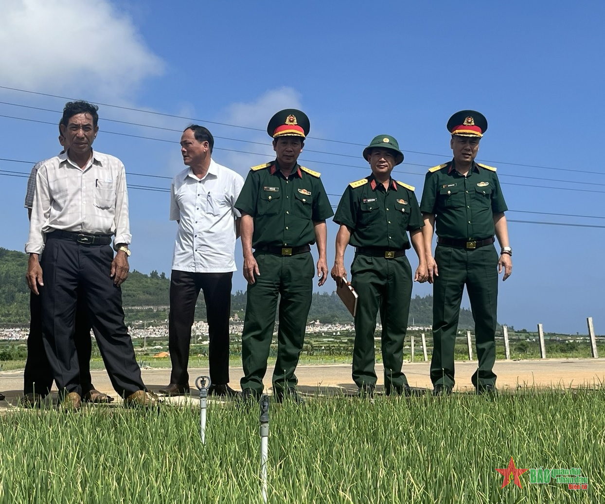 Mùa hành tím thương nhớ