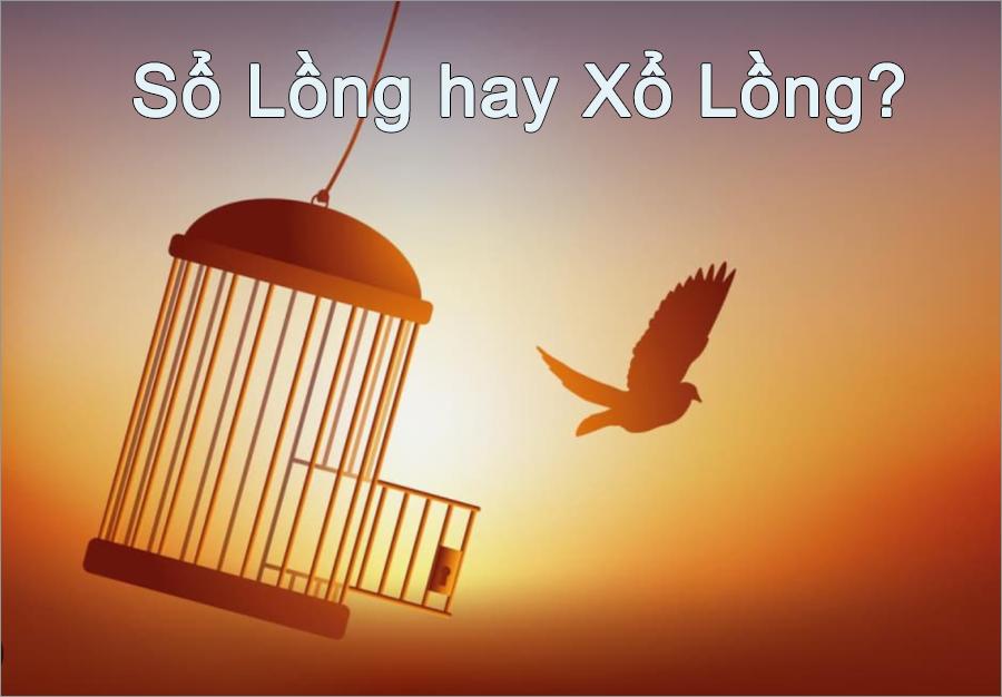 Sổ Lồng Hay Xổ Lồng