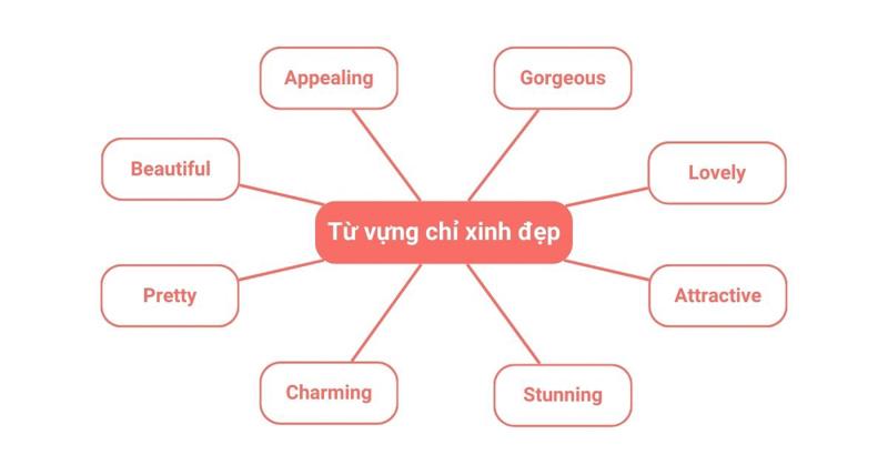 Từ vựng chỉ xinh đẹp tiếng Anh