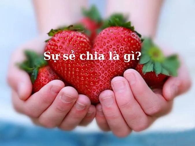 y-nghia-cua-su-chia-se-trong-cuoc-song-voh-0