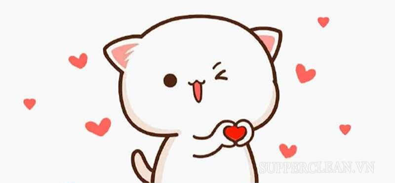 Cư tê là sự dễ thương, đáng yêu hết mức