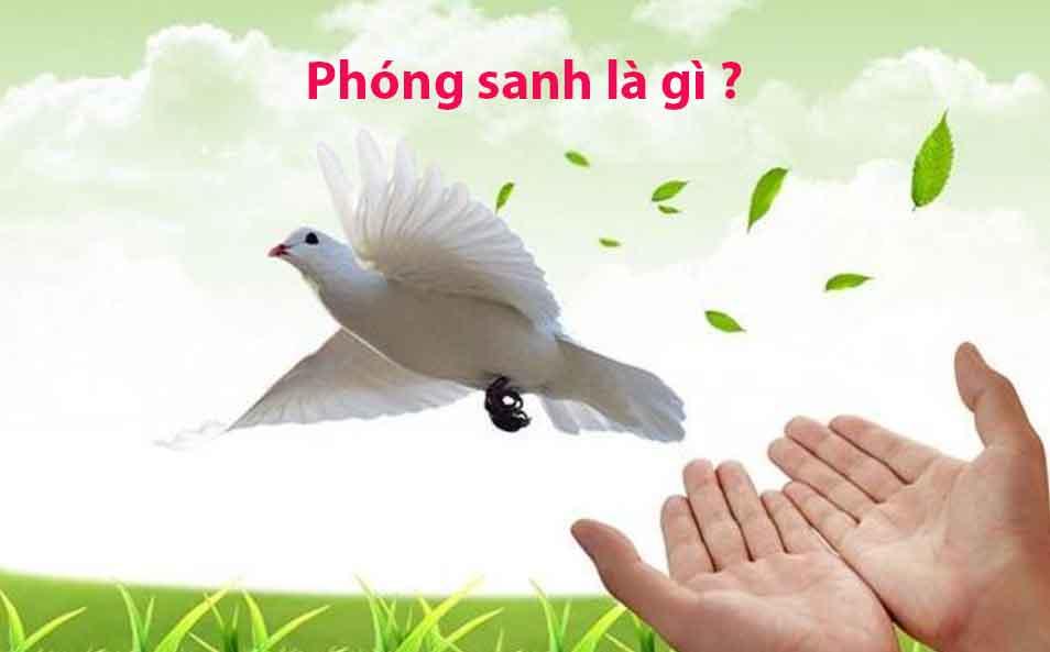 Phóng sanh là gì?
