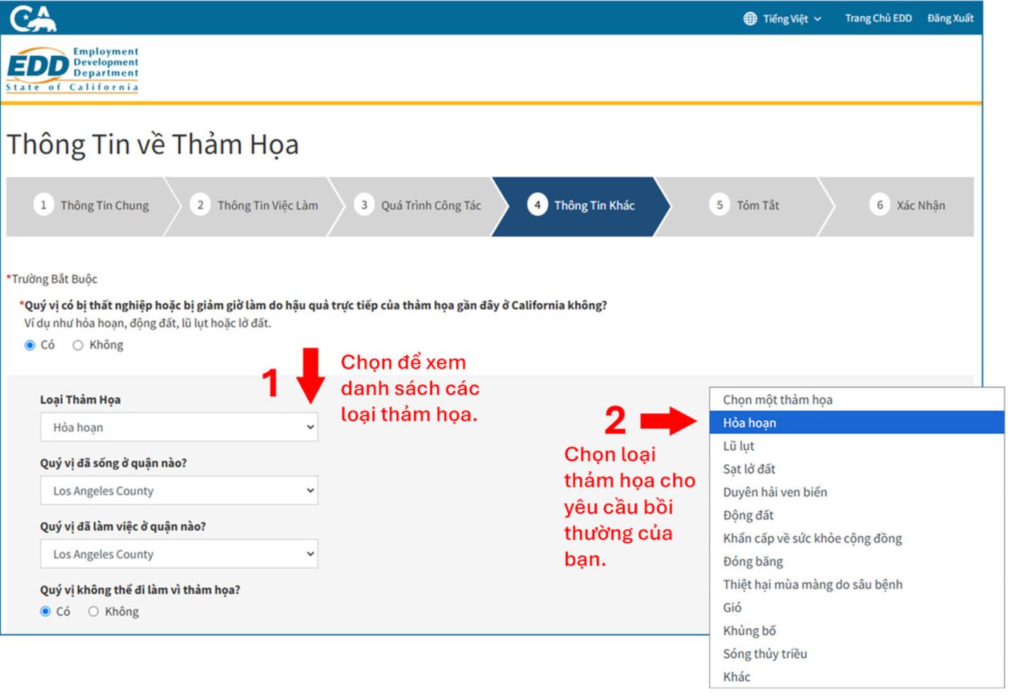 A screenshot of the Disaster Information webpage showing how to enter the required information.