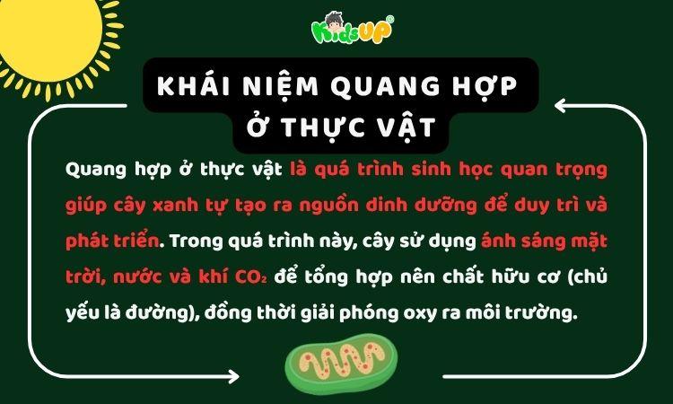 Hiểu đúng về quang hợp ở thực vật