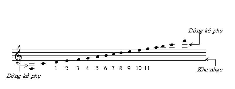 hướng dẫn học đánh đan guitar, guitar đệm hát cơ bản