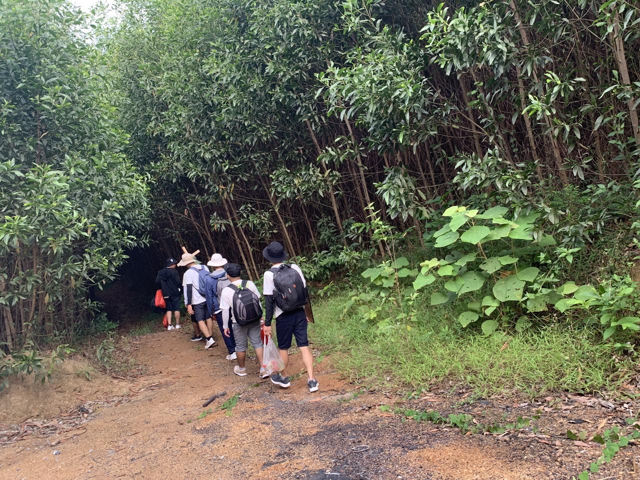 eb229737856c46321f7d