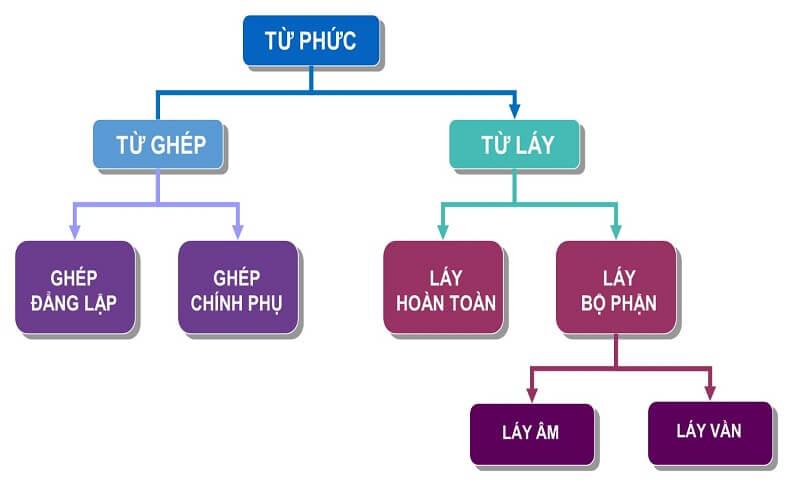 Đặc điểm cấu tạo của từ phức. (Ảnh: Sưu tầm internet)