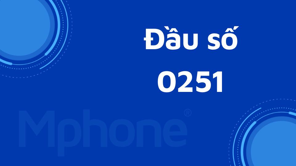 Đầu số 0251