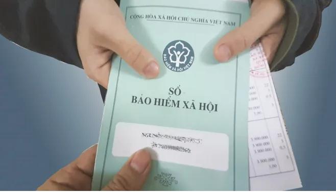 Quỹ bảo hiểm xã hội là gì? Quy định về Quỹ bảo hiểm xã hội