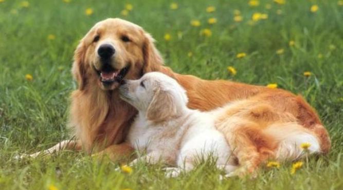 sinh nam 1994 tot nghiep cap 3 nam nao