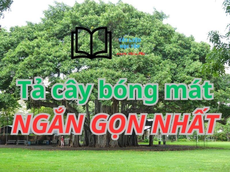 tả cây bóng mát lớp 4,5 ngắn gọn