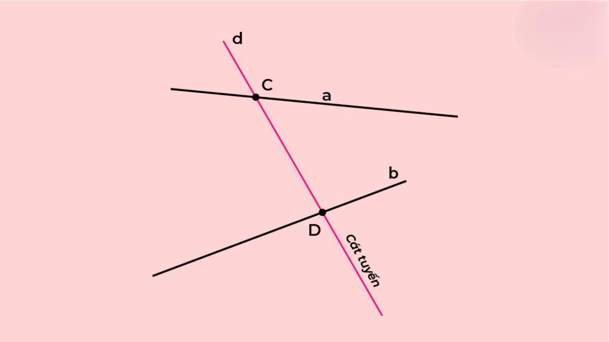 Tính chất của đường cát tuyến