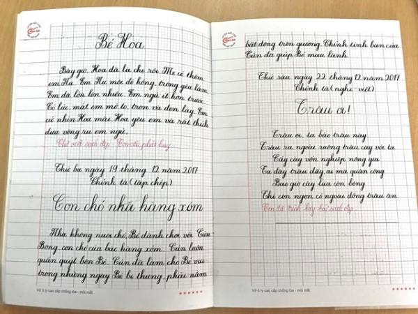 Rắc rối việc quy định viết vở 5 ô ly hay 4 ô ly ở bậc tiểu học ảnh 1