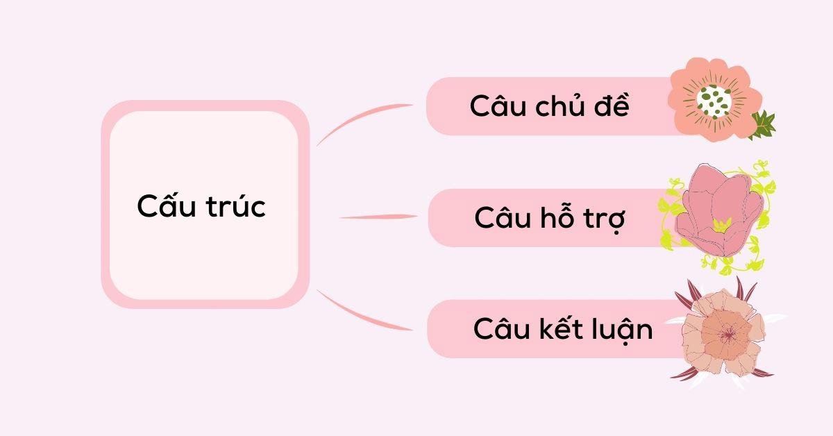 Cấu trúc đoạn văn tiếng Anh
