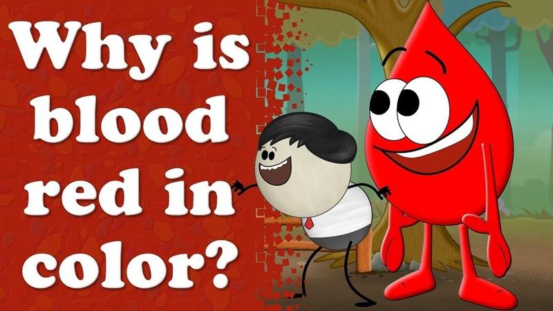 Vì sao máu có màu đỏ? Những yếu tố nào ảnh hưởng đến màu sắc của máu? 1