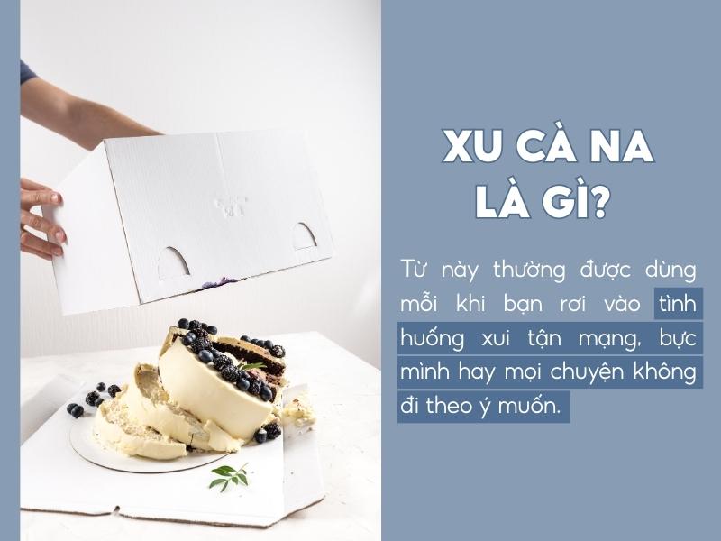 Xu cà na trong từ điển Gen Z