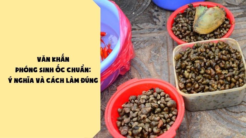 Văn Khấn Phóng Sinh Ốc Chuẩn: Ý Nghĩa Và Cách Làm Đúng