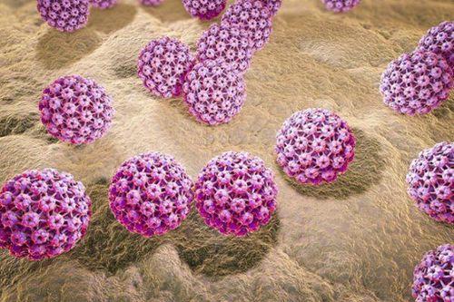 HPV được biết đến là nguyên nhân hàng đầu gây ung thư cổ tử cung