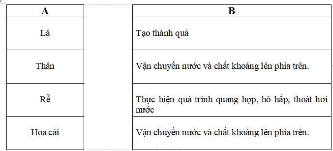 Đề thi học kì 2 môn Khoa học lớp 4