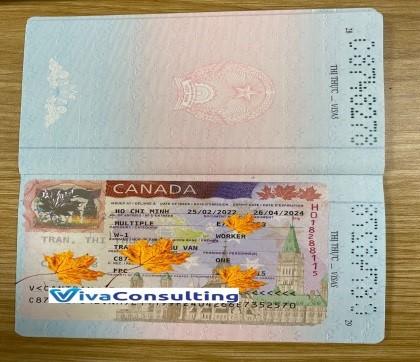 visa khách hàng thành công tại viva consulting 1
