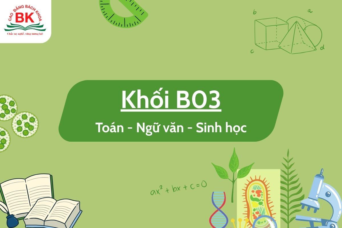 Toán văn sinh là khối gì