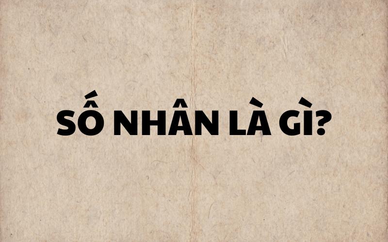 Số nhân là gì? (Ảnh: Sưu tầm Internet)
