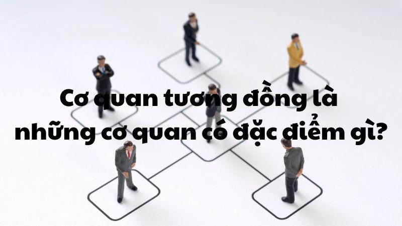 Cơ quan tương đồng là những cơ quan có đặc điểm gì?