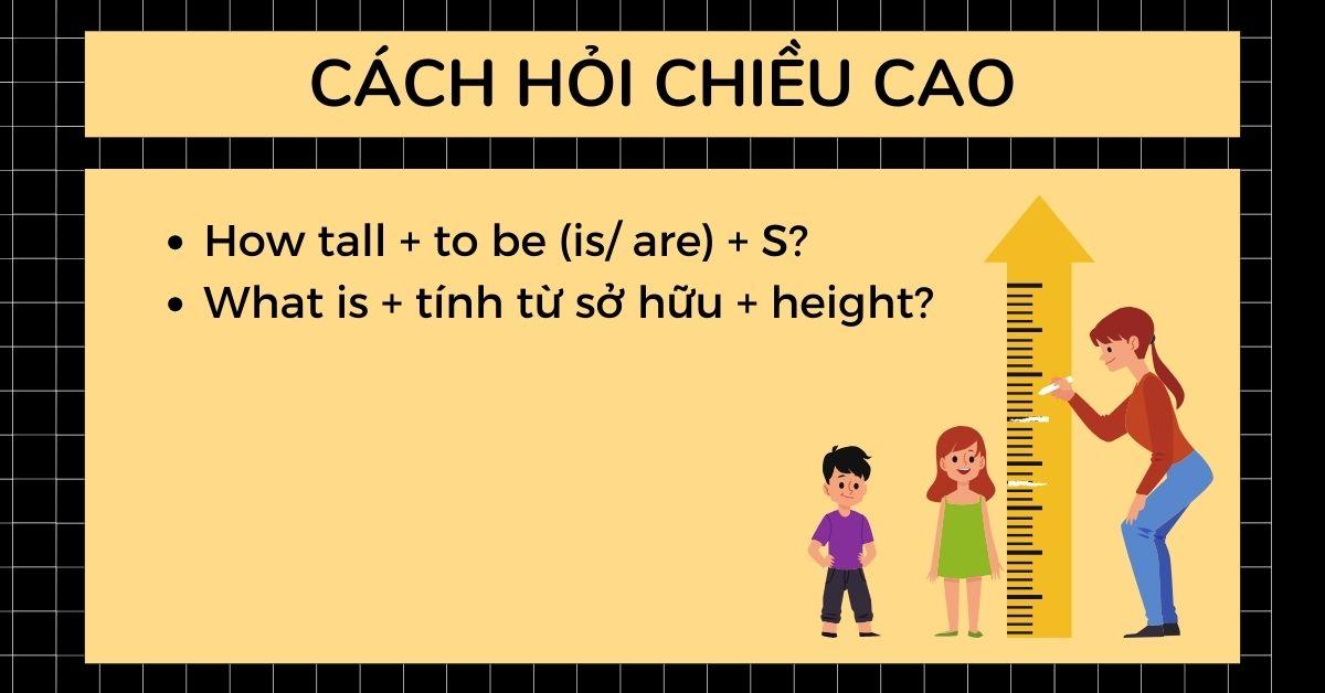 hỏi chiều cao bằng tiếng Anh