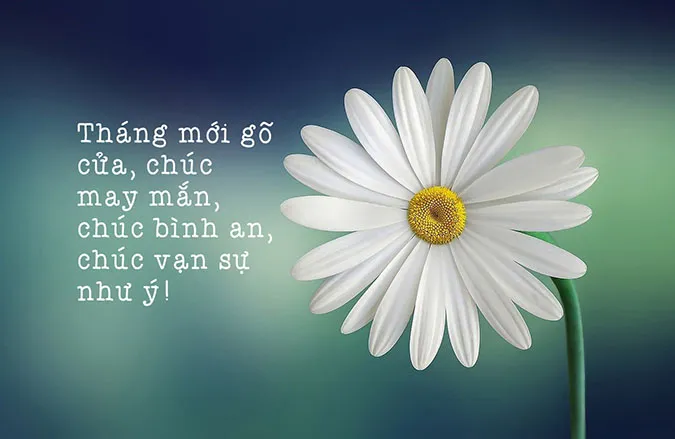 Tổng hợp lời chúc mùng 1 đầu tháng đem lại may mắn và niềm vui 1
