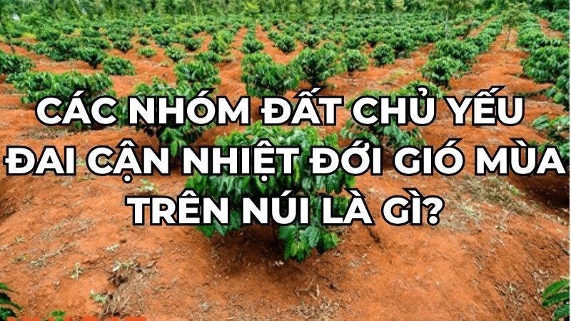 Các nhóm đất chủ yếu đai cận nhiệt đới gió mùa trên núi là gì