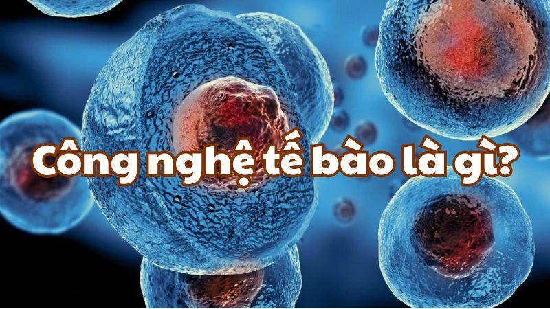 Công nghệ tế bào là gì?