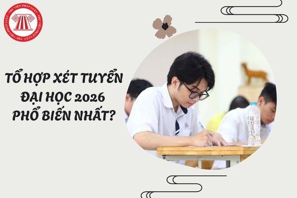 https://cdn.ohanapreschool.edu.vn/wp-content/uploads/2026/08/hoc-luat-hoc-khoi-nao-1.jpg