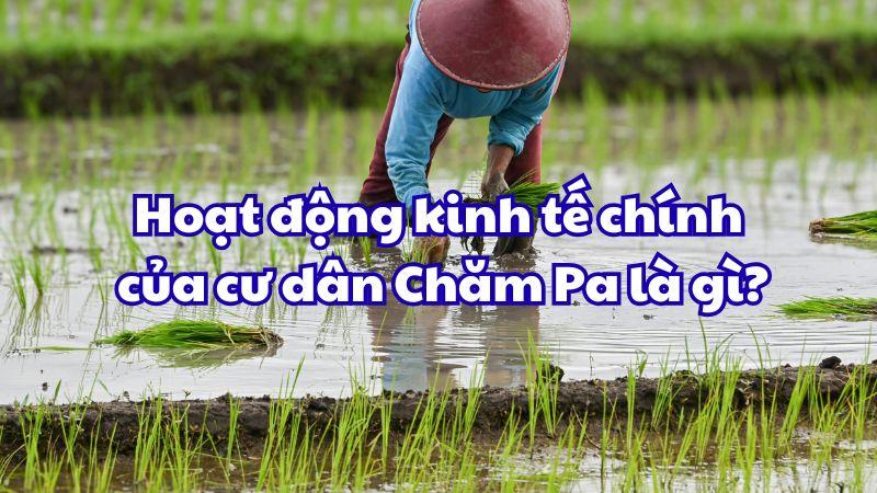 Hoạt động kinh tế chính của cư dân Chăm Pa là