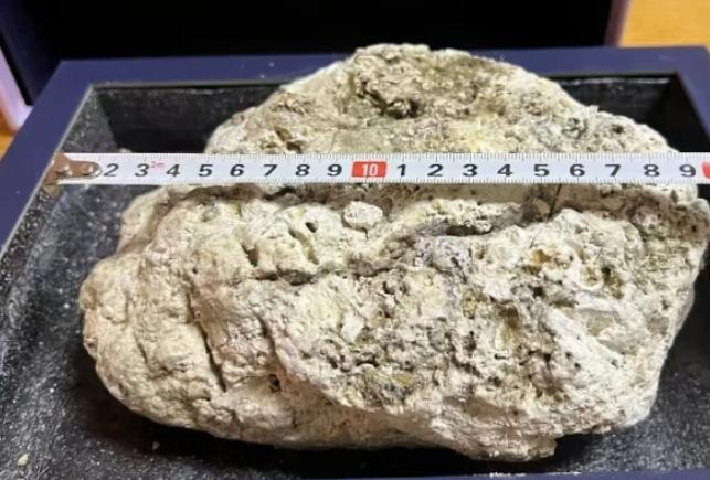 Nhặt được khối lạ khi đi tham quan, nghi vật quý giá hơn 27 tỷ đồng - 1