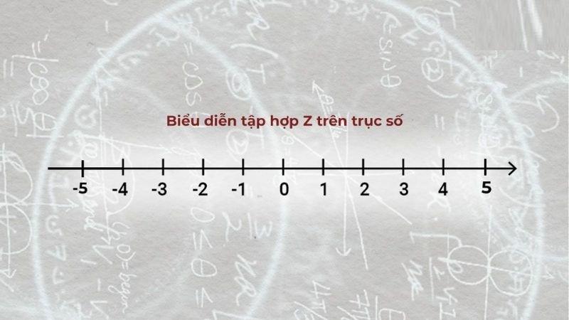 tap-hop-z-2