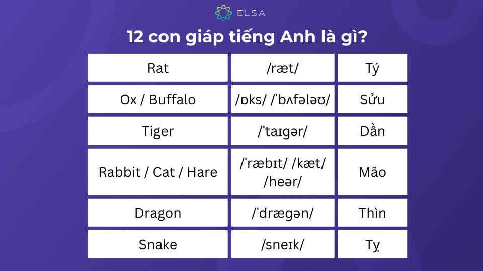 Tổng hợp 12 con giáp trong tiếng Anh