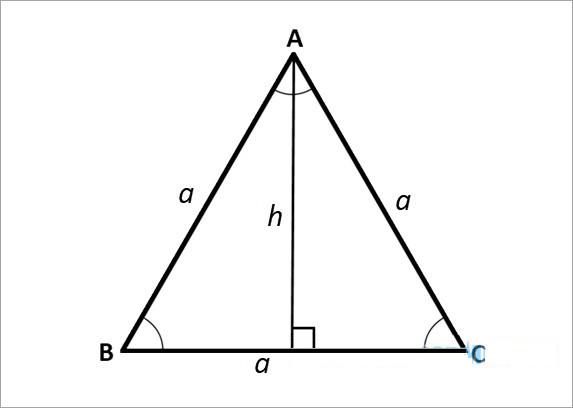 p = frac{{left( {a + b + c} right)}}{2}