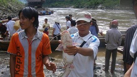 “Vựa” cá ở thượng nguồn Nậm Nơn đã giúp đồng bào nơi đây thoát nghèo